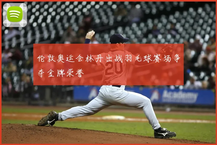 伦敦奥运会林丹出战羽毛球赛场争夺金牌荣誉